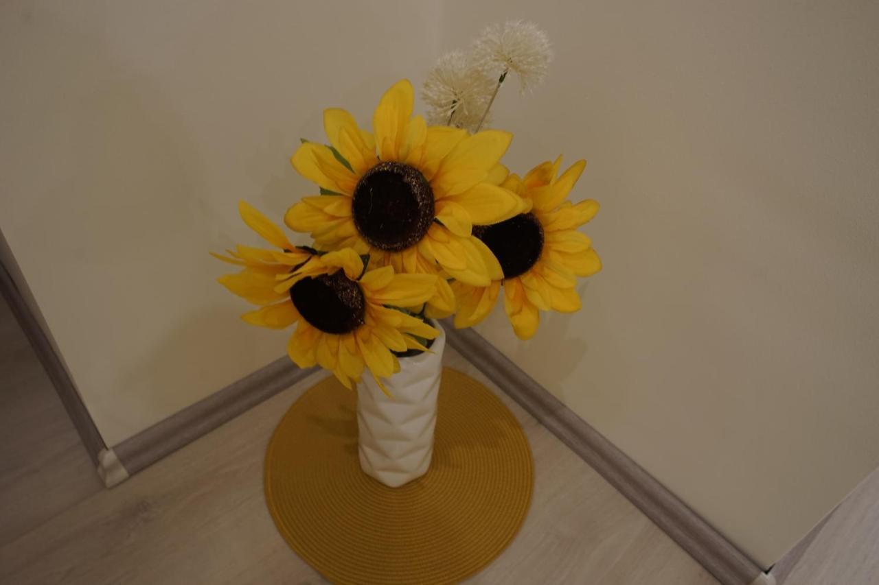 Csengo Vendeghaz Hotel กิชเกอเริช ภายนอก รูปภาพ