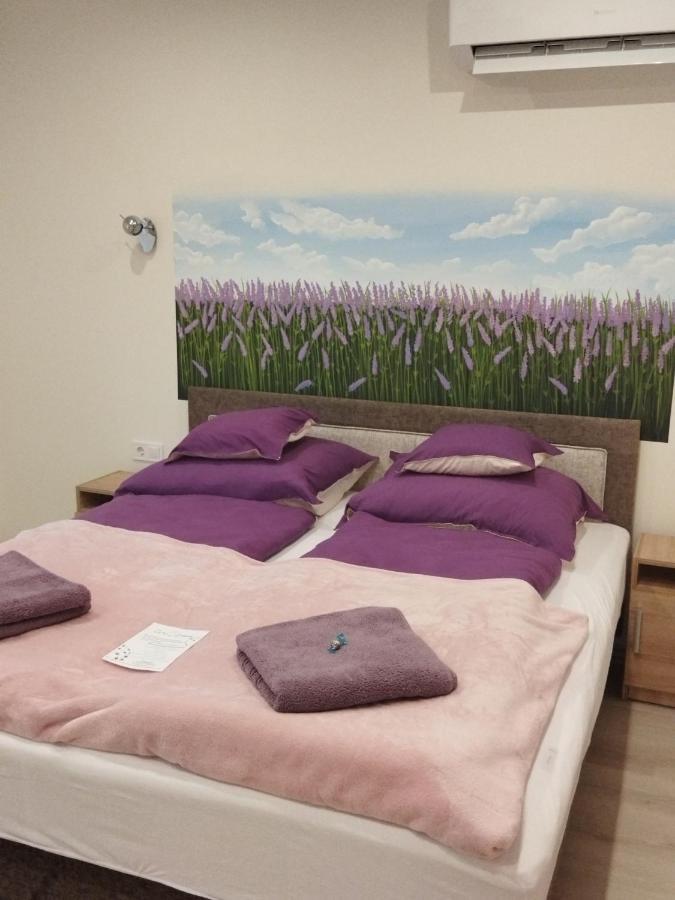 Csengo Vendeghaz Hotel กิชเกอเริช ภายนอก รูปภาพ